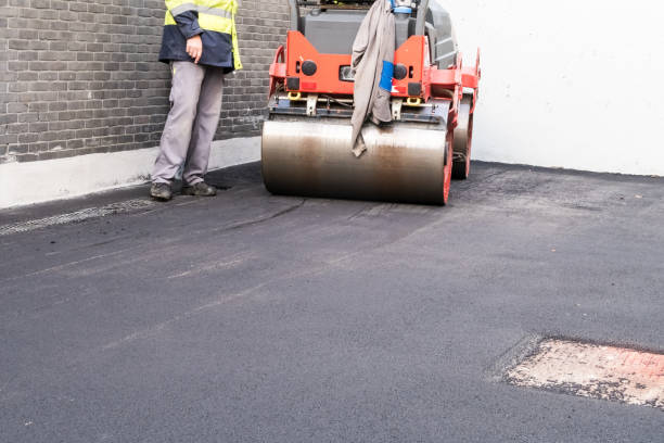 Best Paver Driveway Installation  in , AZ